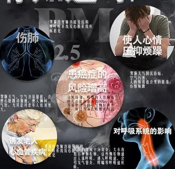 霧霾產生的疾病—樱桃小视频在线看